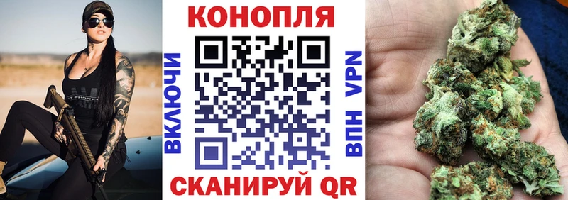 где найти наркотики  Рыбинск  Бошки Шишки план 